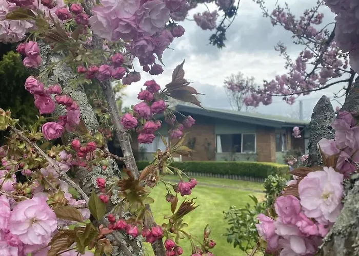 Roselake Retreat * 罗托鲁阿